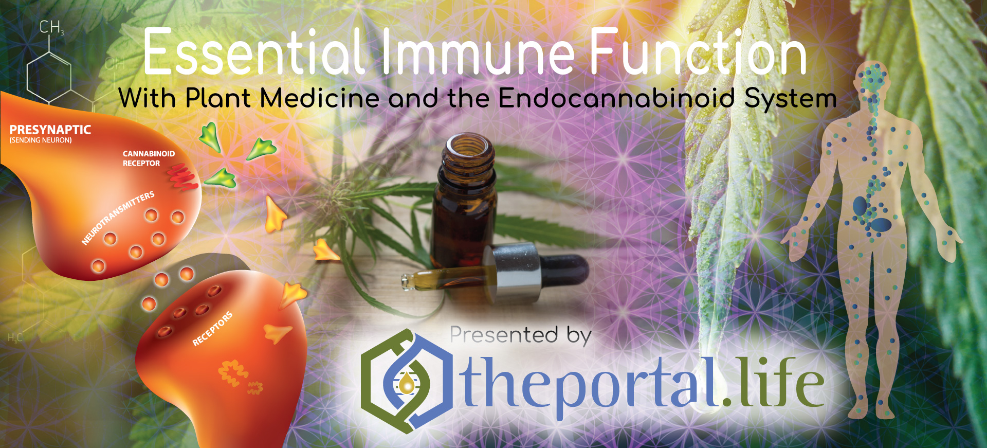 Essential Immune Function banner
